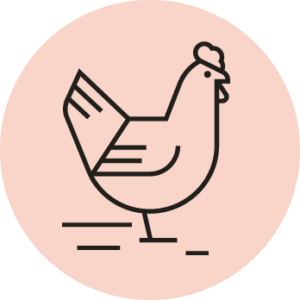 Huhn