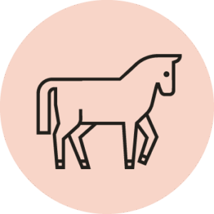Pferd