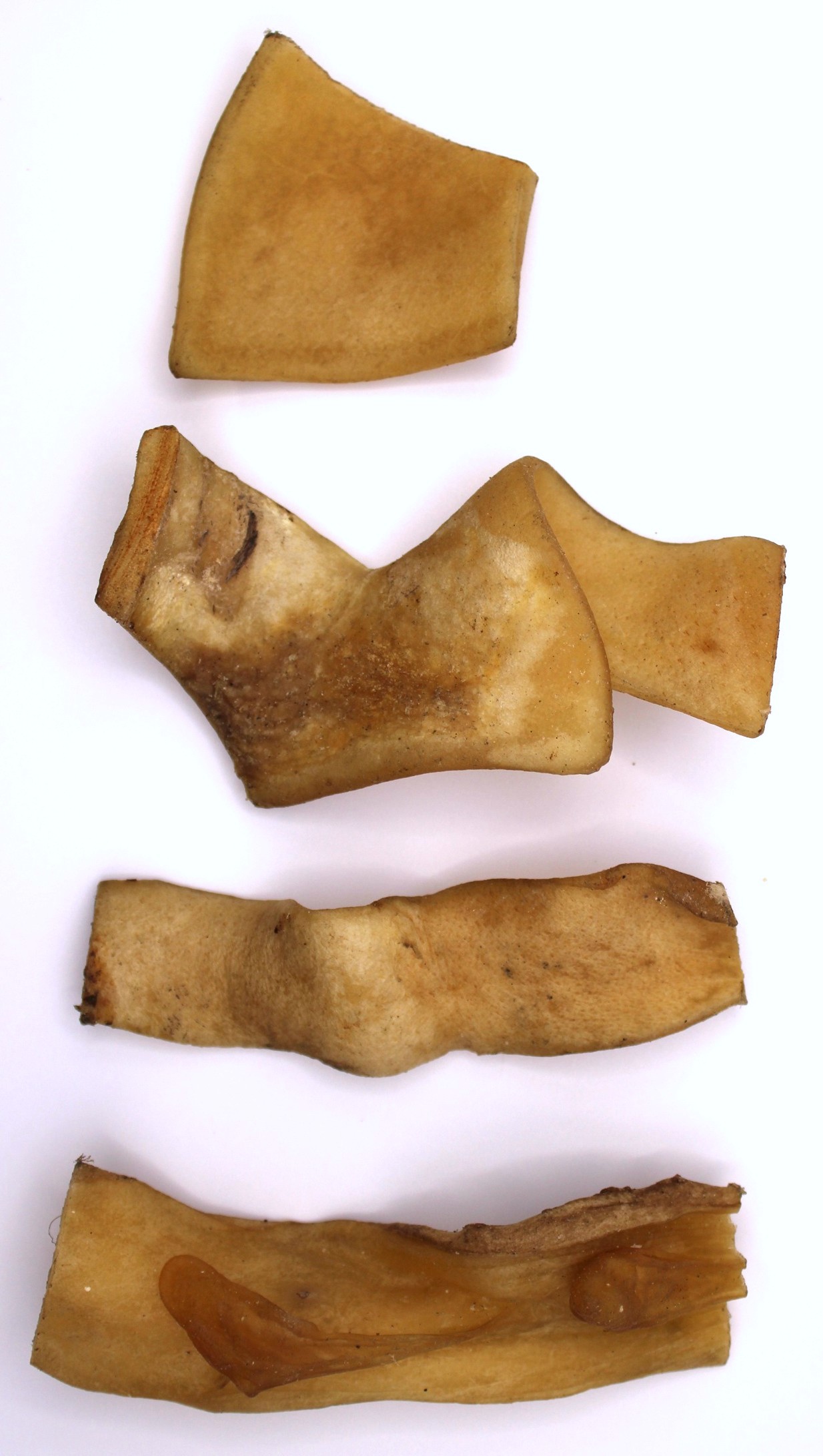 HoMi Haustier Snacks Onlineshop Hundefutter Kausnacks Kauartikel Hunde Rinderkopfhaut getrocknet