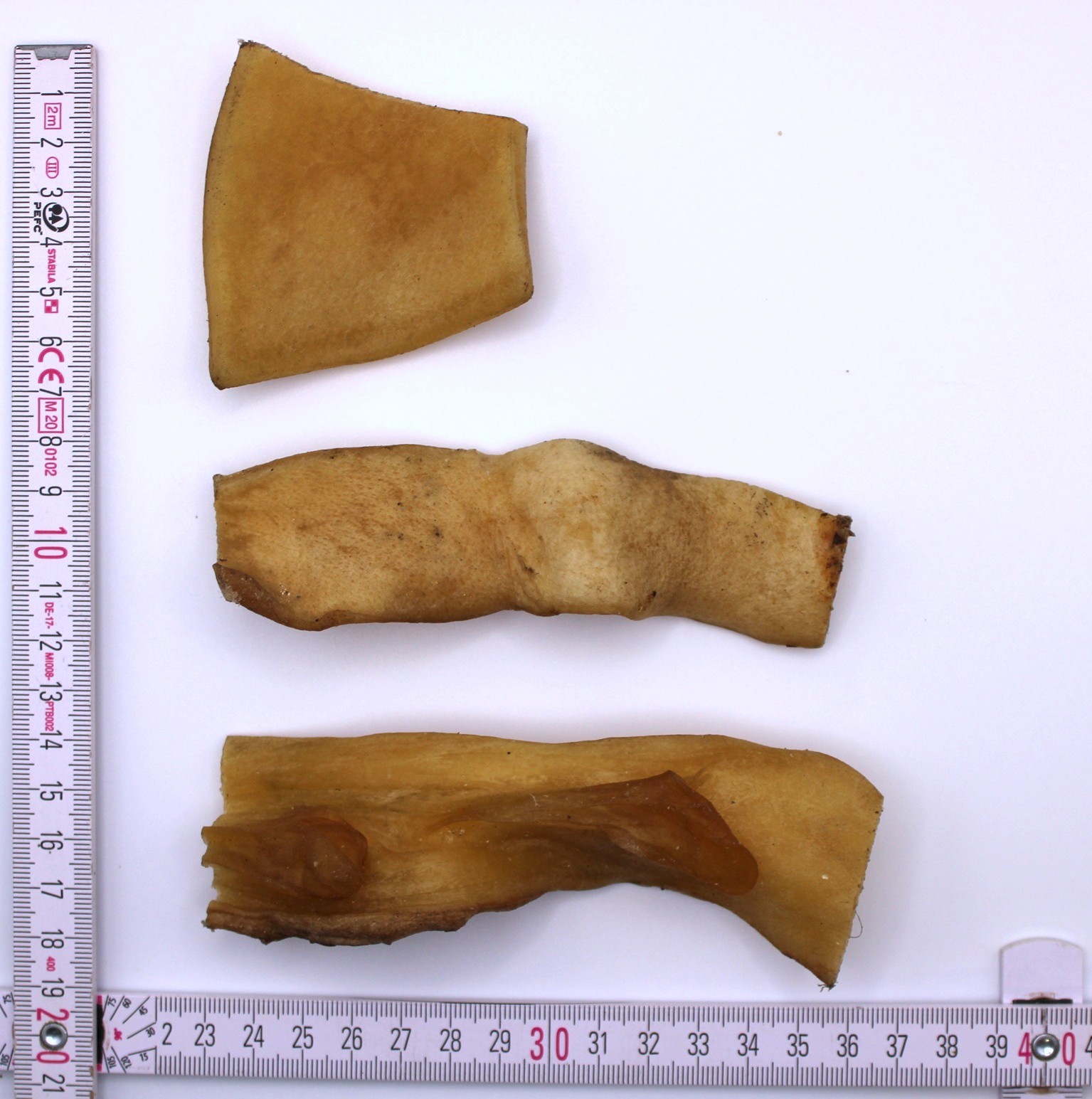 HoMi Haustier Snacks Onlineshop Hundefutter Kausnacks Kauartikel Hunde Rinderkopfhaut getrocknet