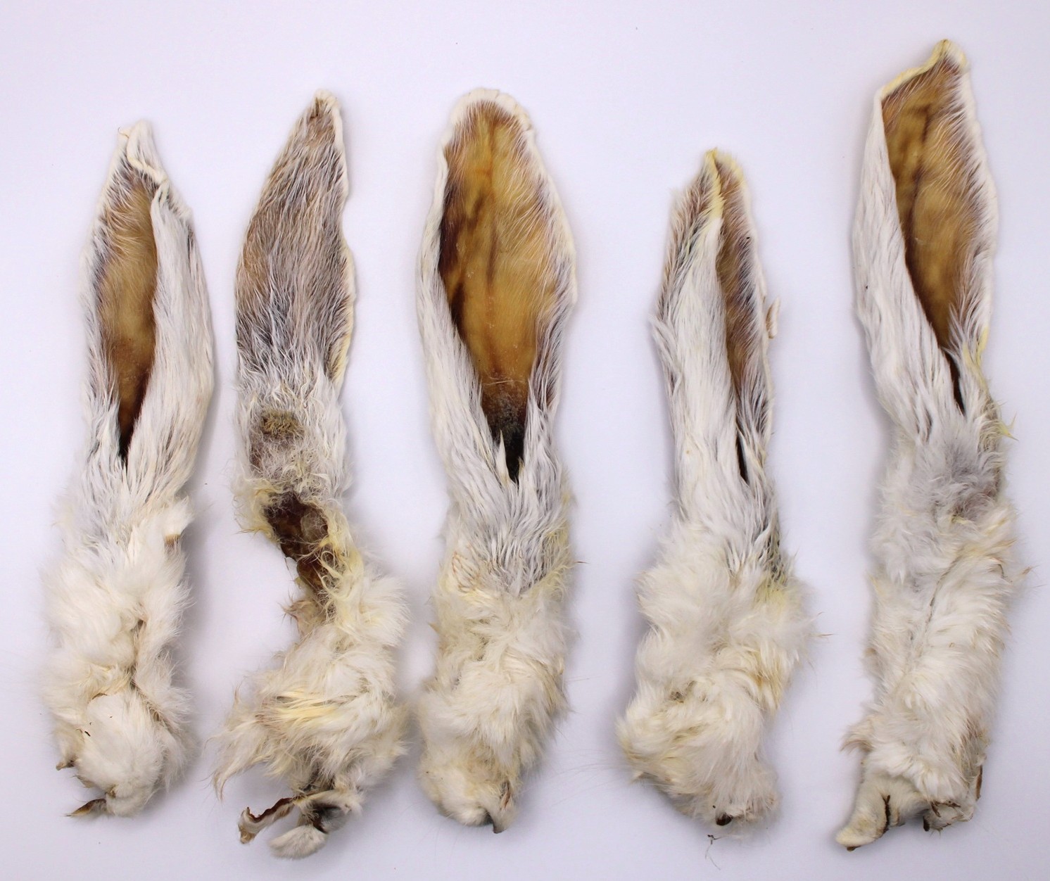 HoMi Haustier Snacks Onlineshop Hundefutter Kausnacks Kauartikel Hunde Kaninchenohren mit Fell getrocknet