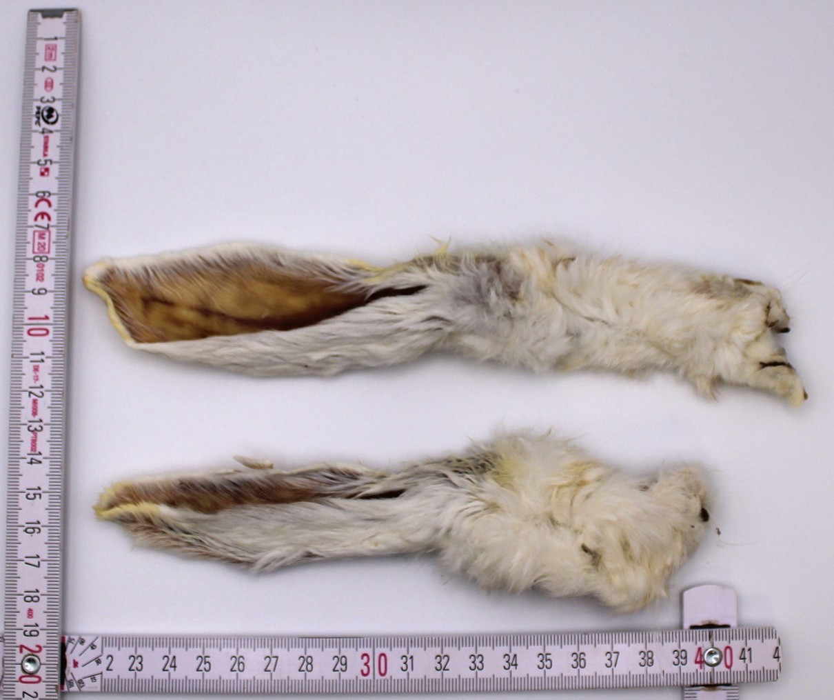 HoMi Haustier Snacks Onlineshop Hundefutter Kausnacks Kauartikel Hunde Kaninchenohren mit Fell getrocknet