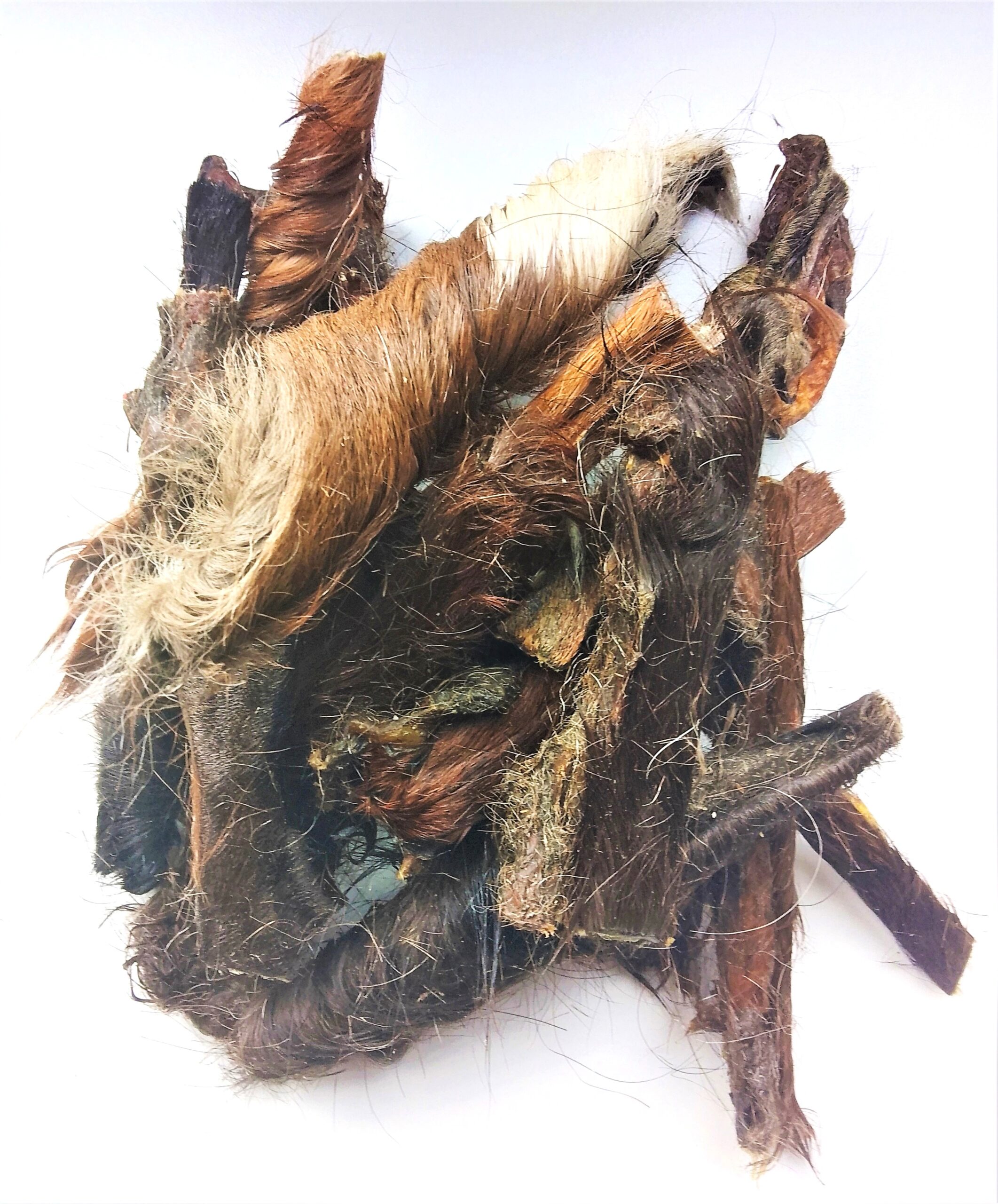 HoMi Haustier Snacks Onlineshop Hundefutter Kausnacks Kauartikel Hunde Pferdekopfhaut mit Fell getrocknet