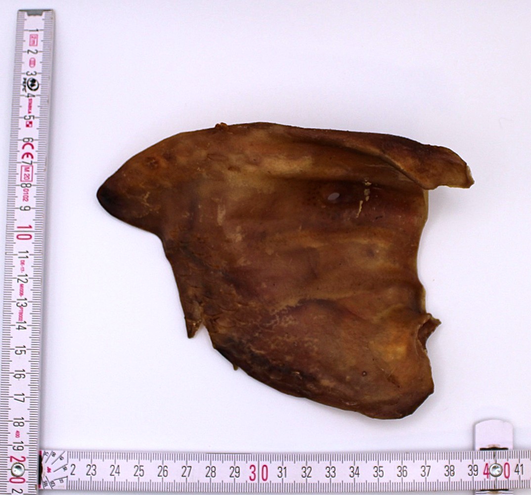 HoMi Haustier Snacks Onlineshop Hundefutter Kausnacks Kauartikel Hunde Schweineohren getrocknet