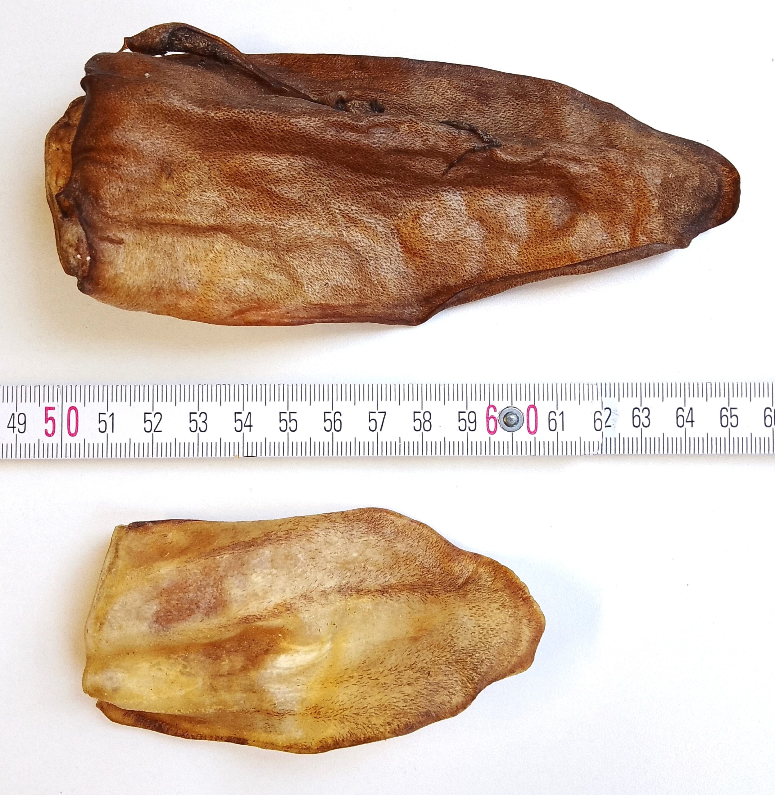 HoMi Haustier Snacks Onlineshop Hundefutter Kausnacks Kauartikel Hunde Rinderohren 10 cm getrocknet