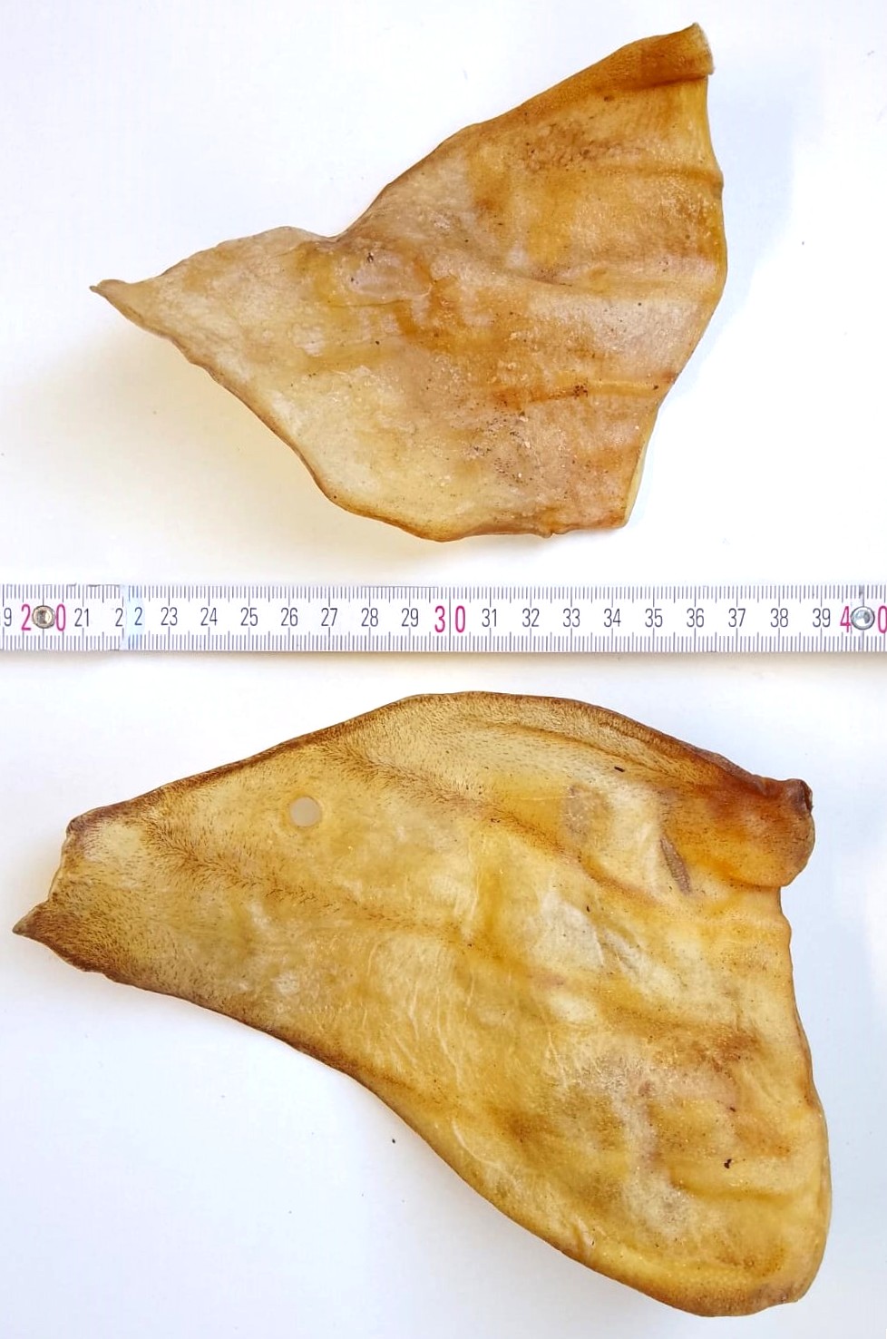 HoMi Haustier Snacks Onlineshop Hundefutter Kausnacks Kauartikel Hunde Rinderohren 15 cm getrocknet