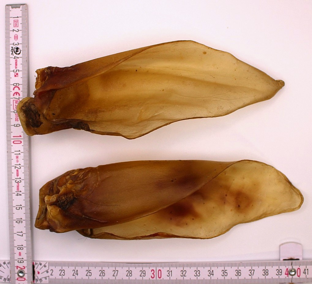 HoMi Haustier Snacks Onlineshop Hundefutter Kausnacks Kauartikel Hunde Rinderohren 20 cm getrocknet