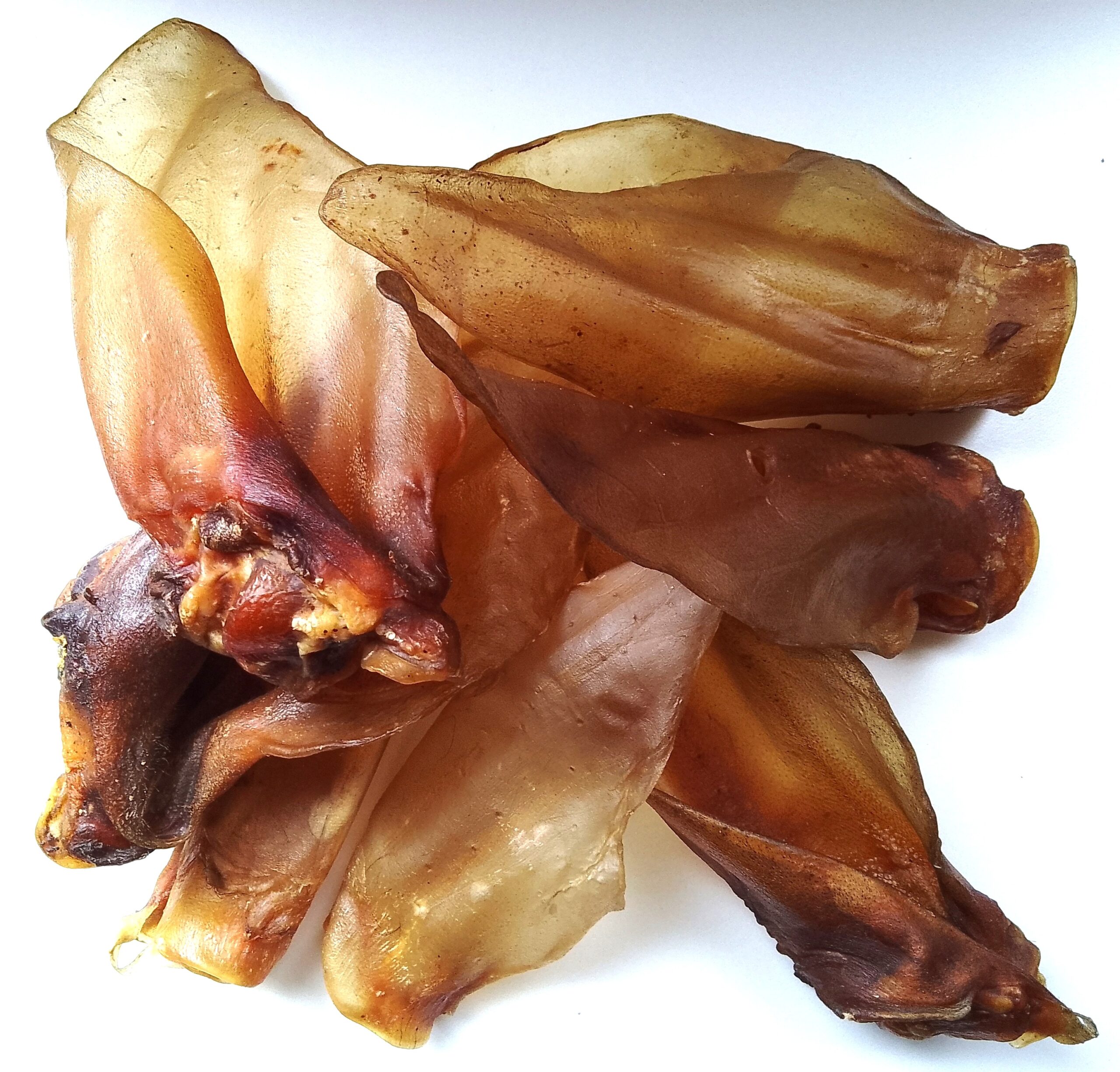 HoMi Haustier Snacks Onlineshop Hundefutter Kausnacks Kauartikel Hunde Rinderohren XL-XXL getrocknet