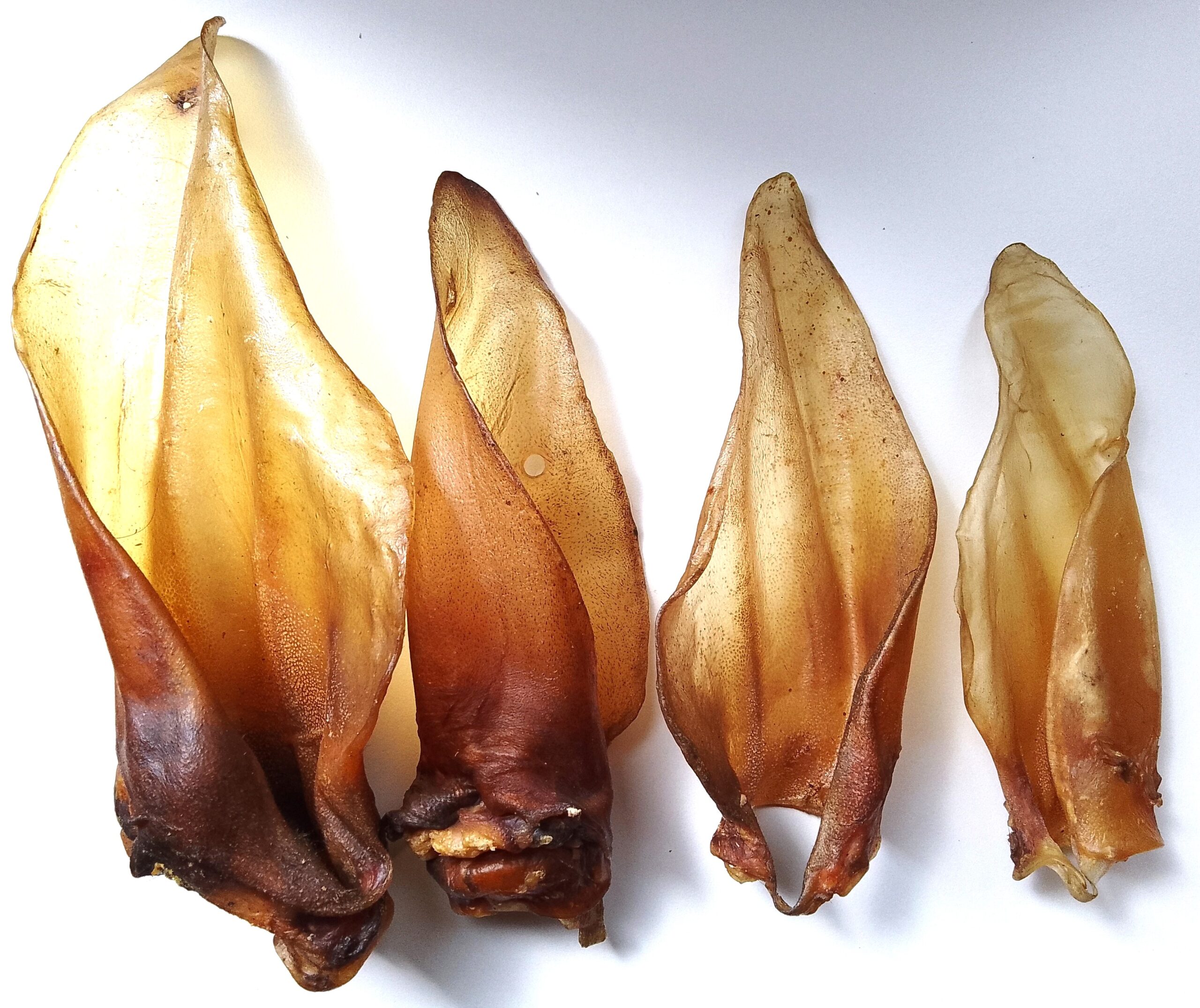 HoMi Haustier Snacks Onlineshop Hundefutter Kausnacks Kauartikel Hunde Rinderohren XL-XXL getrocknet