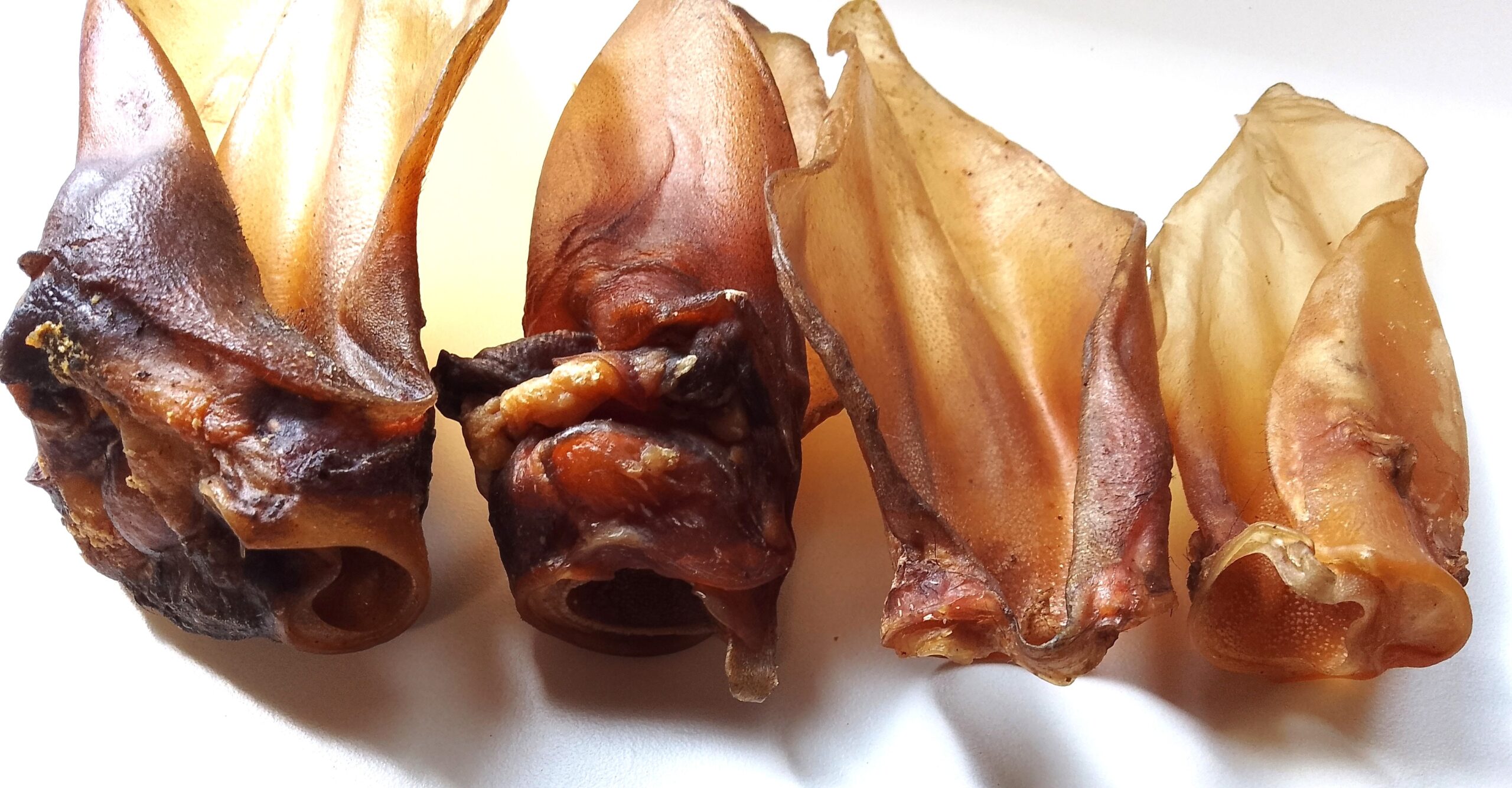 HoMi Haustier Snacks Onlineshop Hundefutter Kausnacks Kauartikel Hunde Rinderohren XL-XXL getrocknet